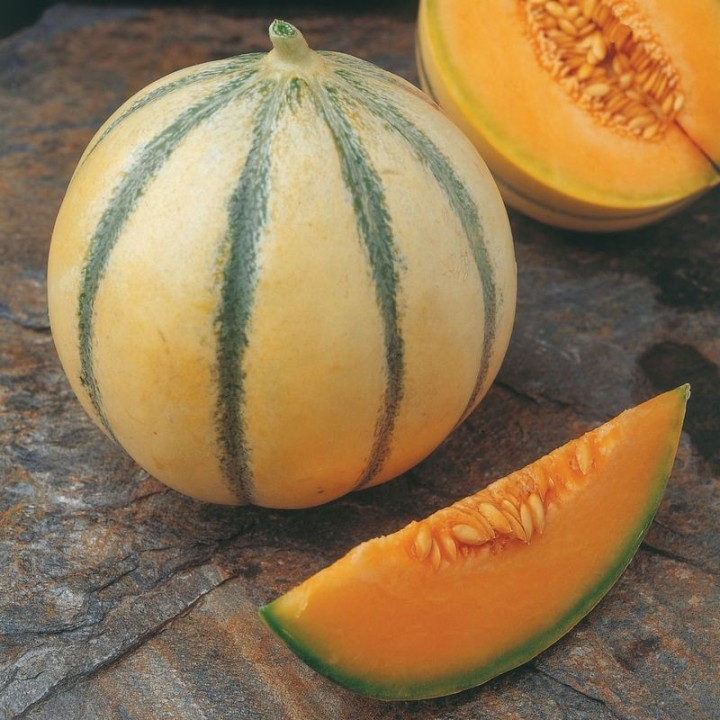 Melon Alvaro